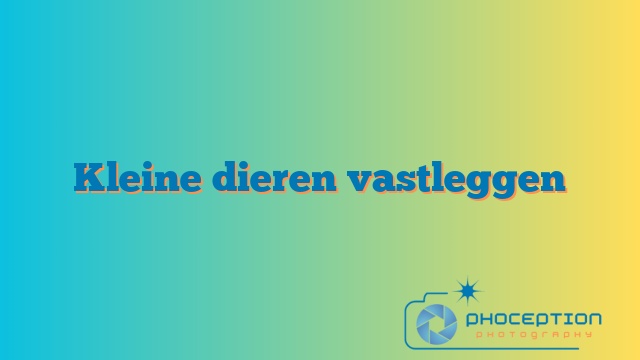 Kleine dieren vastleggen