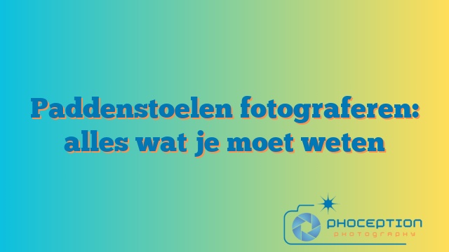 Paddenstoelen fotograferen: alles wat je moet weten